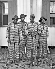 Photograph of Southern Chain Gang Convict Members  Year 1905c   8x10 picture