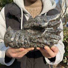 Yooperlite Dragon Head Skull Figurine Rock Quartz Crystal Craved Gemstones Decor picture