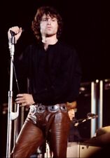 The Doors Jim Morrison  Photo 8x10 picture