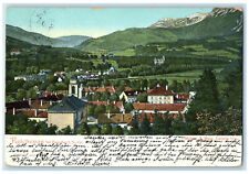 c1910 Reichenau near Payerbach Baden-Württemberg Germany Posted Antique Postcard picture