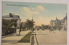 Antique Unused Tremont Street GALVESTON Texas TX Postcard Z3  picture