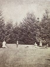 Washington Territory WA Among The Fir Trees Antique Stereoview SV Photo picture
