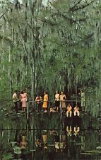 Sebring FL Florida, Little Charlie Bowlegs Creek & Bridge, Vintage Postcard picture