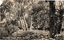 Vintage Postcard- 96929. Second island, Troy, Ohio. Posted 1907 picture