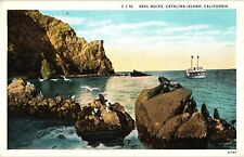 Seal Rocks Catalina Island CA White Border Unposted Postcard 1920s picture