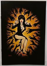 ELVIRA Mistress of the Dark #2 Robert Hack Virgin Variant Cover Dynamite Comics picture