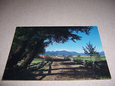 1970s OXBOW RANCH, PRAIRIE CITY, OR. VTG POSTCARD picture
