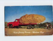 Postcard Kern County Potato Medium Size California USA picture