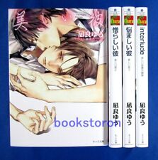 My Beautiful Man Utsukushii Kare 1-3 + interlude  4 Novels set  Japanese BL Book picture