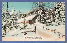 Welcome Sunshine in the Alleghenies, Snow Scene, PA Posted Leechburg PA 1936(?) picture