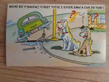 Vintage Curt Teich & Co. Postcard Humorous Dogs & Car-Unposted picture
