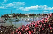Wychmere Harbor BOATS & ROSES on Cape Cod Massachusetts MA Postcard 5156 picture