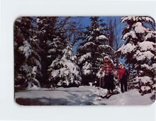 Postcard Winter Fun, Vacationland Scene picture