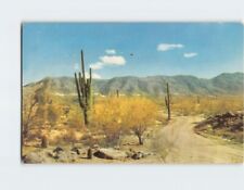 Postcard South Mountain Park Phoenix Arizona USA picture