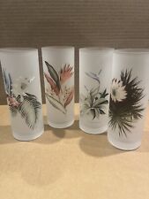 Tommy Bahama Frosted Highball Drinking Class Tropical Floral Island Bareware picture
