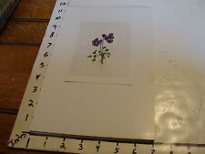 Vintage Flower Post Card mounted  board: Viola calcarata Langsporniges Vellchen picture