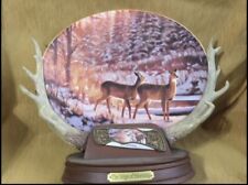 Bradford Exchange Plate The Edge of Morning Whitetail Deer Ten-Point Triumphs MT picture
