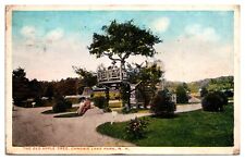 ANTQ The Old Apple Tree, Canobie Lake Park, Salem, NH picture