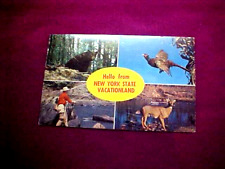 vintage post card. new york state vacationlands. excellent unused.  picture