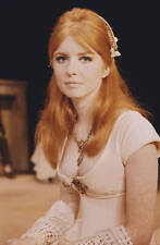 Jane Asher In The Winter's Tale 1966 OLD PHOTO picture