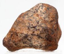 Mundrabilla Iron Meteorite Mineral Sculptural Specimen AUSTRALIA Natural Patina picture