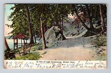 Bristol CT-Connecticut, View Of Lake Compounce, Antique, Vintage c1907 Postcard picture