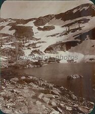 1919 Big Cottonwood Canyon Utah Original News Service Photo picture