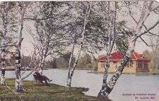 Forest Park St. Louis Missouri MO 1911 Matson St. Charles Postcard C40 picture
