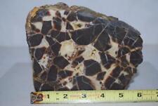 Splendid SEPTARIAN faced rough … large 8.4 lbs … Madagascar picture