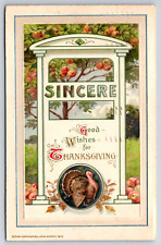John Winsch c1913 Embossed Sincere Good Wishes For Thanksgiving Vintage Postcard picture