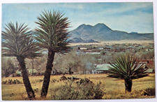 Aline, TX- Texas View of City and Twin Peaks Twin Sisters Mountain VTG POSTCARD picture