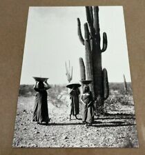 Women carrying bowl on head by giant Cactus Native American Matte Print picture