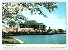 Cherry Blossoms Jefferson Memorial Washington D. C. Vintage Postcard D3 picture