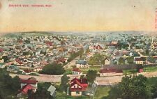 UP Ishpeming MI c1908 MINING TOWN HIGH VIEW Businesses Theater Mercantile & MORE picture