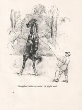 ORIGINAL VINTAGE HORSE SKETCH ART PRINT PAGE BY K F BARKER 1937 STALLION  picture