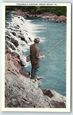 c1920 SPRING MOUNT PA FISHERMAN'S PARADISE FLY FISHING W R KINDIG POSTCARD P4558 picture