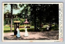 Saratoga NY-New York, Congress Spring Park, Antique, Vintage Souvenir Postcard picture