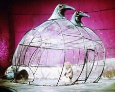 Barbarella 1968 Jane Fonda imprisoned in huge bird cage 8x10 real photo picture