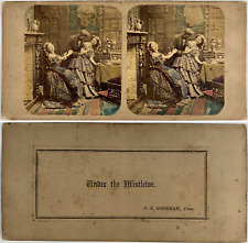 Under the mistletoe, vintage albumen print, ca.1860, stereo print vintage watercolor, picture