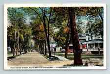 c1924 WB Postcard Beardstown IL Street View Washington Street & 7th Houses picture