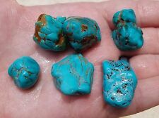 NATURAL SIERRA NEVADA TURQUOISE ROUGH NEVADA 50 GRAMS PENDANT SIZE #H16 picture