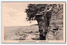 North East Pennsylvania PA Postcard Cliffs East Of Orchard Beach c1910's Antique picture