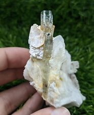 Black Tourmaline included Aquamarine crystal with Muscovite mica & Albite, 150 g picture