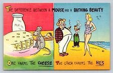 Difference Between A Mouse & A Bathing Beauty VINTAGE Humor Postcard picture