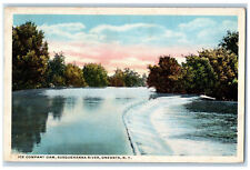 c1920's Ice Company Dam Susquehanna River Oneonta New York NY Postcard picture