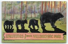 1940S YELLOWSTONE PARK GREETINGS FROM BEAR FAMILY LINEN POSTCARD P2731 picture