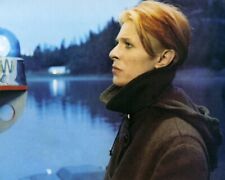 David Bowie The Man Who Fell To Earth 24x36 inch Poster picture