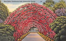D2039 Rose Arbor, Confederate Park, Jacksonville FL Linen Postcard Tichnor Bros. picture