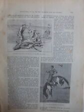1889 BUFFALO BILL COMPANY HUNTING BUFFLE FAR WEST 8 ANTIQUE NEWSPAPERS picture