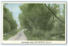 1923 Greetings From Trees Road Bushton Kansas KS Vintage Antique Posted Postcard picture